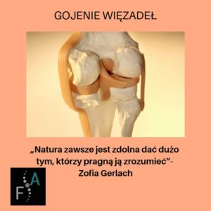 Gojenie_więzadeł